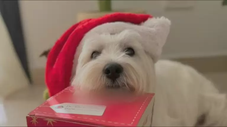 La marca busca fomentar un mundo más inclusivo mediante el desarrollo de alimentos funcionales que se lanzarán en 2026.