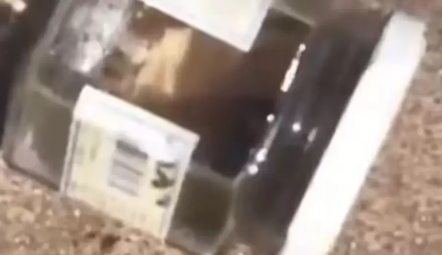 Frasco con la falange que, según datos aportados por la mujer, se había cortado el día anterior.