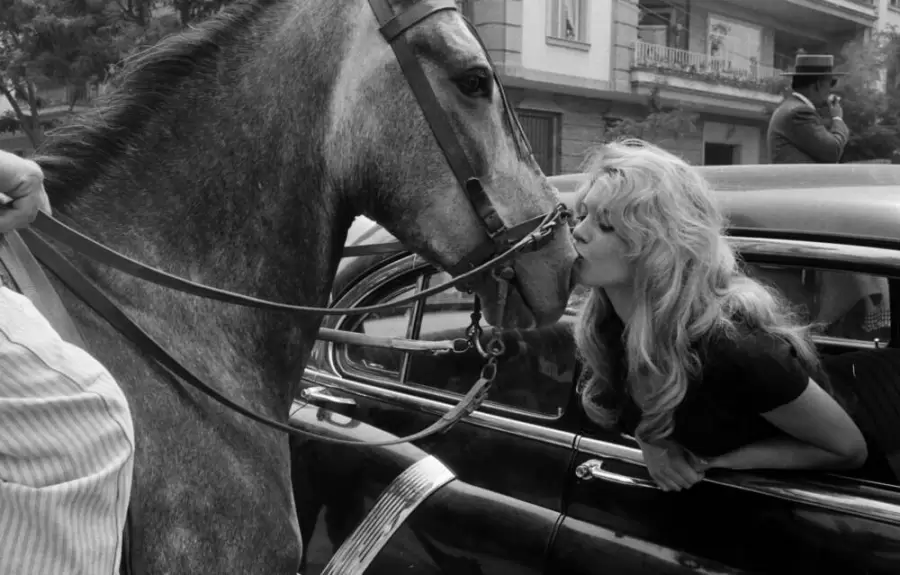 brigitte bardot