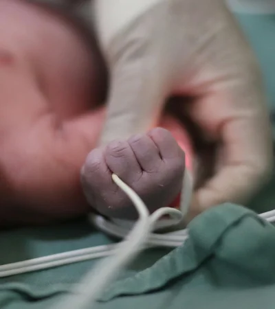 Las tres hermanitas están en incubadora
