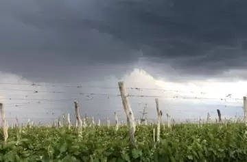 Alerta por calor extremo y granizo: el pronóstico para la mesa del 31