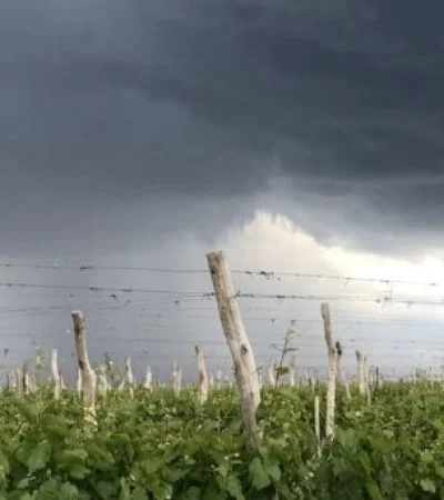 Alerta en Mendoza: calor extremo, granizo y el pronóstico para Año Nuevo