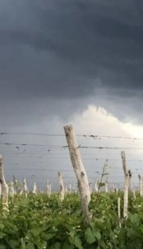 Alerta en Mendoza: calor extremo, granizo y el pronóstico para Año Nuevo