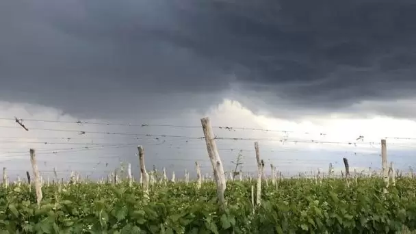 Alerta en Mendoza: calor extremo, granizo y el pronóstico para Año Nuevo
