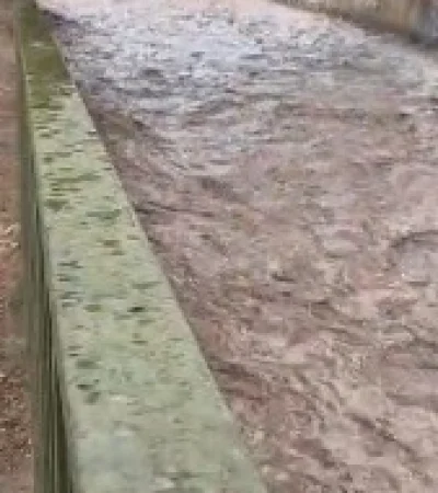 Caudal en el zanjón de Los Ciruelos