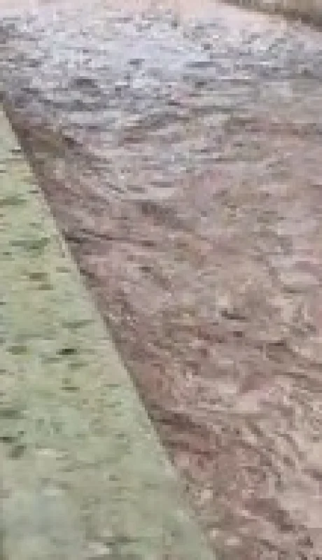 Caudal en el zanjón de Los Ciruelos