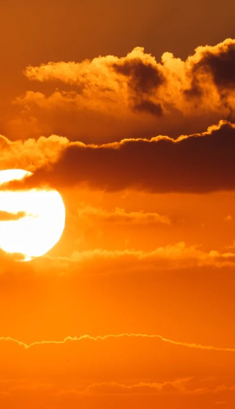 Lo que el cielo tiene preparado para 2026.