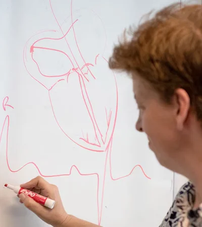 Científicos argentinos crean un marcapasos que imita el ritmo natural.