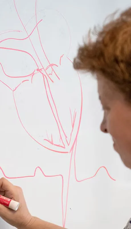 Científicos argentinos crean un marcapasos que imita el ritmo natural.