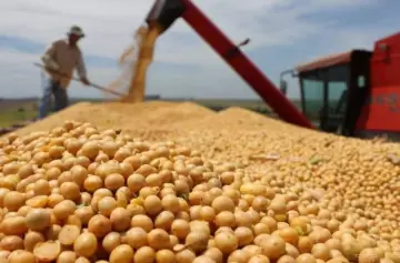 La liquidación del agro creció 25% en 2025 e ingresaron más de US$ 31.300 millones