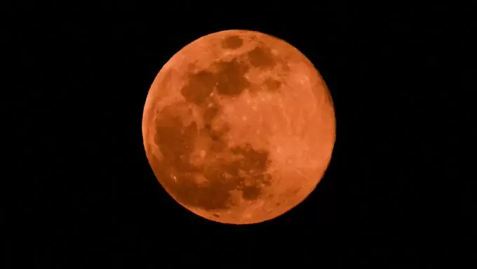 Luna del Lobo 2026: cómo ver la primera superluna del año en Argentina.