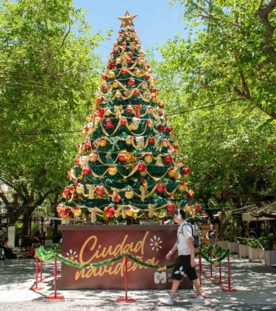 El árbol navideño fue instalado a comienzos de diciembre.