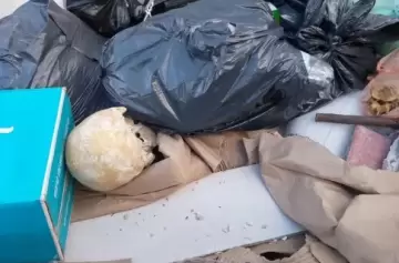 ¿Crimen o descuido? El extraño hallazgo en un volquete de Mar del Plata que movilizó a la Científica