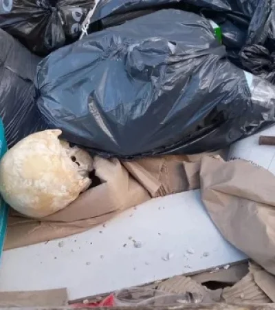 El hallazgo en Mar del Plata