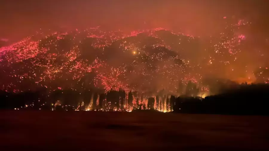 la superficie de bosques afectados se cuadruplicó respecto a la temporada anterior.