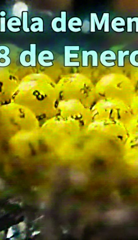 Quiniela de Mendoza del 8 de enero