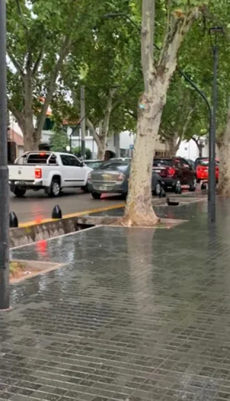 Las tormentas y el marcado descenso de la temperatura marcaron el pulso de este jueves en Mendoza, bajo alerta amarilla del SMN.