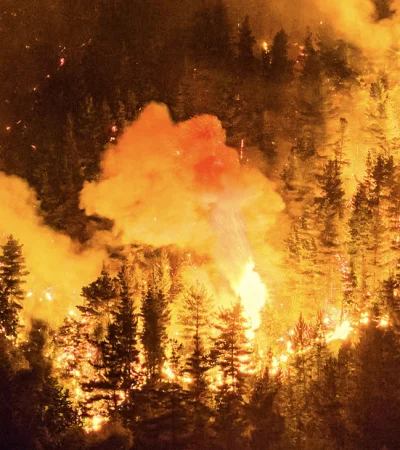 Encontraron materiales inflamables en algunos incendios en Chubut y buscan a los responsables del desastre.