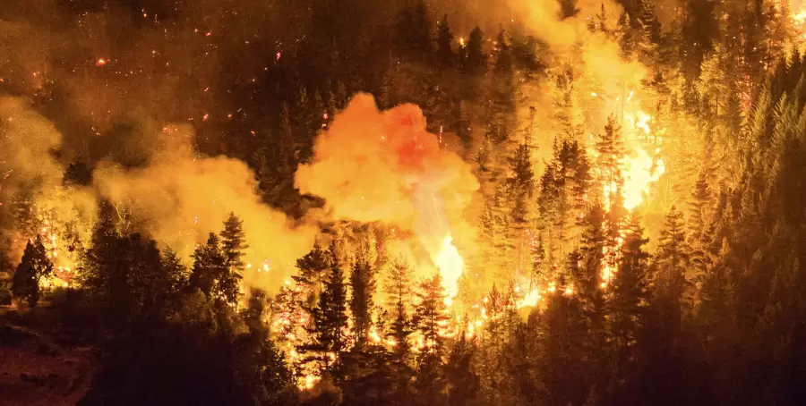 Encontraron materiales inflamables en Chubut y buscan a los responsables del desastre.