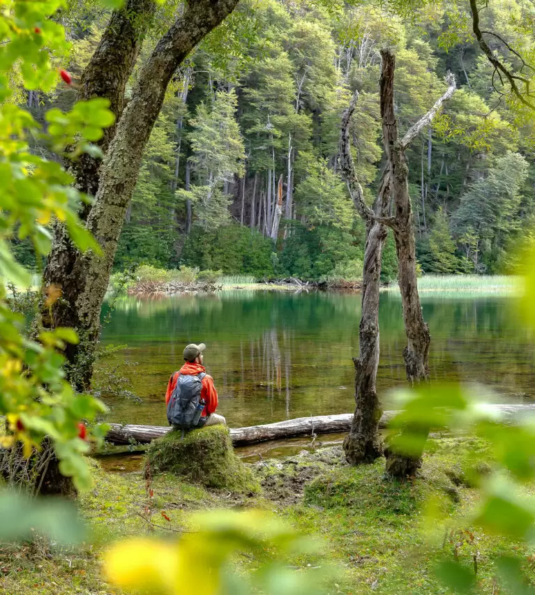El Parque Nacional Los Alerces es un área protegida y patrimonio mundial de la Unesco en la provincia del Chubut.