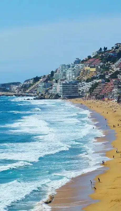 Tu app de Alerta de Godoy Cruz ahora te protege en Reñaca y Viña.