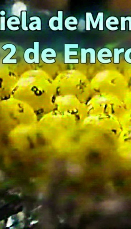 Quiniela de Mendoza del 12 de enero