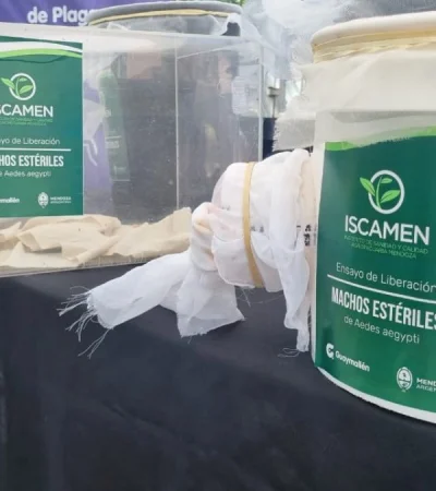 Liberación de mosquitos esterilizados