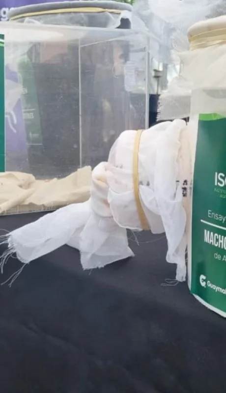 Liberación de mosquitos esterilizados