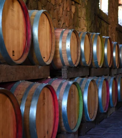 Mendoza y su exportación.