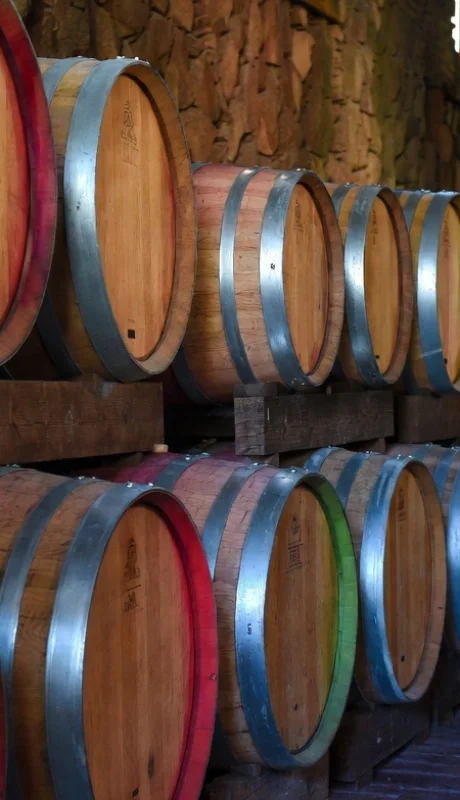 Mendoza y su exportación.