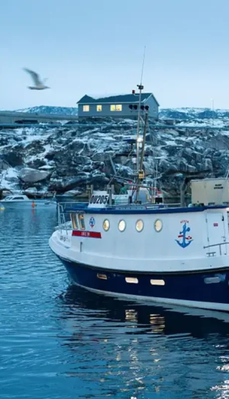 Francia abre consulado en Groenlandia: desafío a Trump y tensión en el Ártico