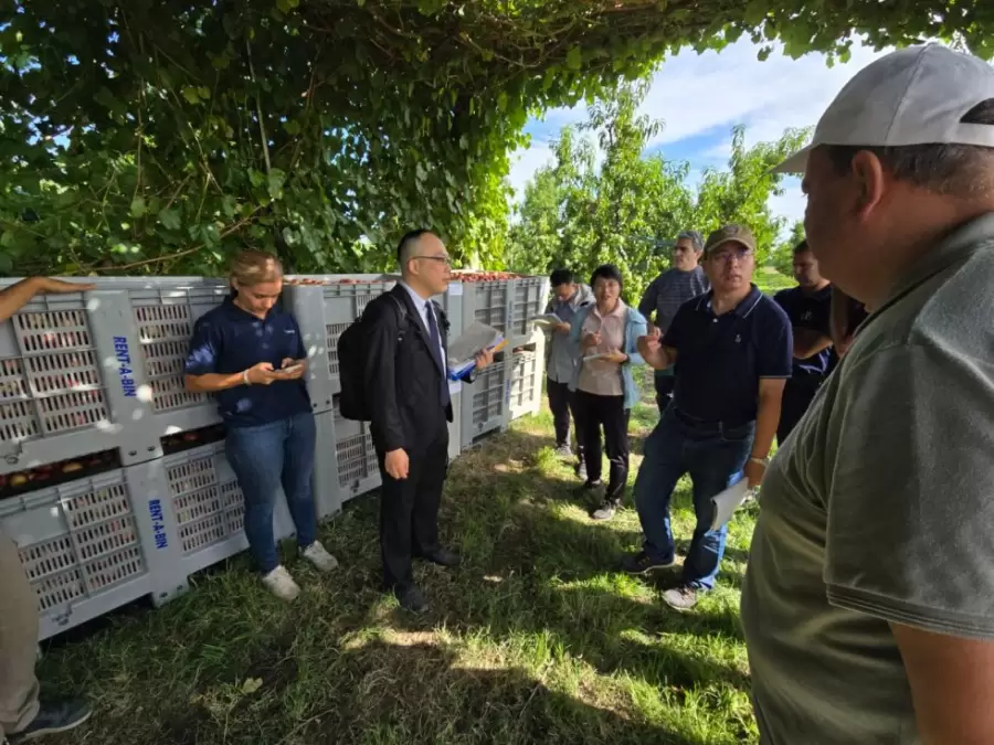 Importancia de la sanidad vegetal
