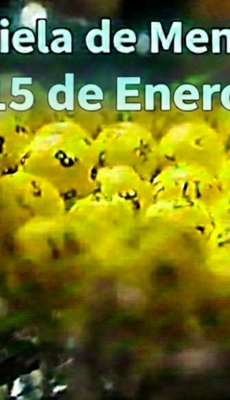 Quiniela de Mendoza del 15 de enero