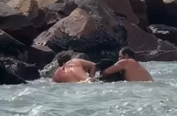 Héroes al agua: guardavidas rescataron a un perro en Playa Grande