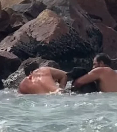 Rescate de un perro en Mar Chiquita/ Fuente: Captura de video