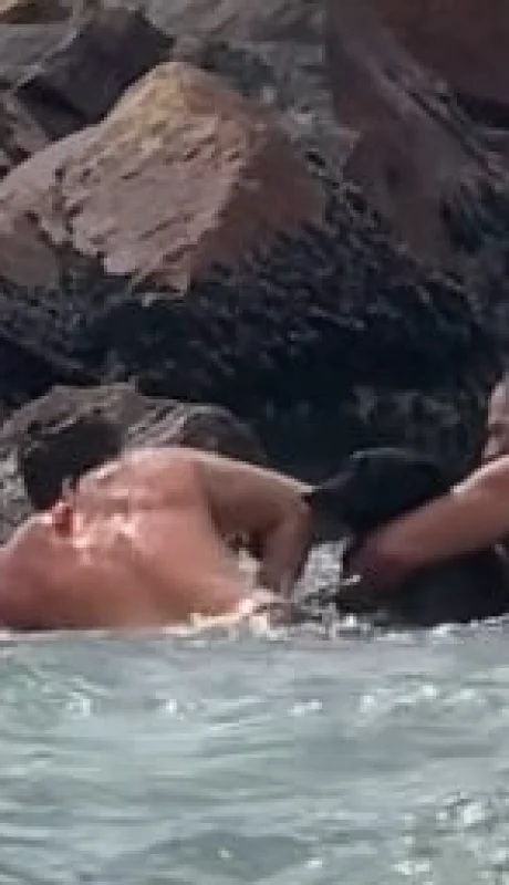 Rescate de un perro en Mar Chiquita/ Fuente: Captura de video