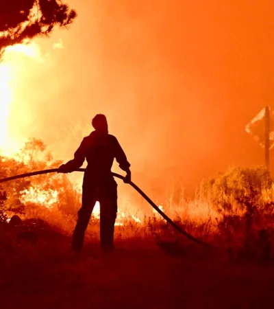 El término fue acuñado por la Stop Ecocide Foundation y busca endurecer las penas por este tipo de daños.
