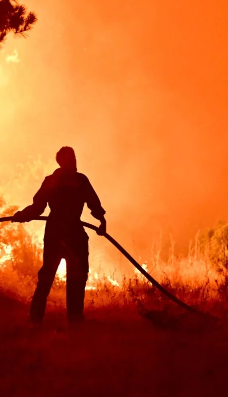 El término fue acuñado por la Stop Ecocide Foundation y busca endurecer las penas por este tipo de daños.