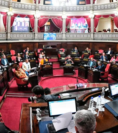 Imagen de una sesión del Senado bonaerense. (Foto: archivo web)