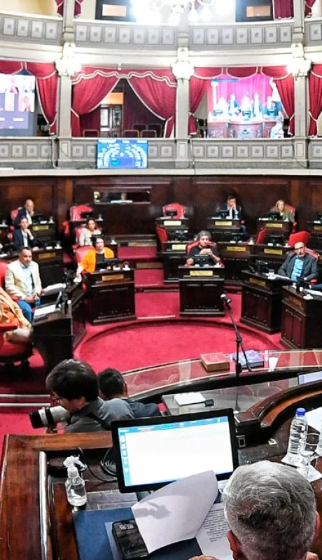 Imagen de una sesión del Senado bonaerense. (Foto: archivo web)