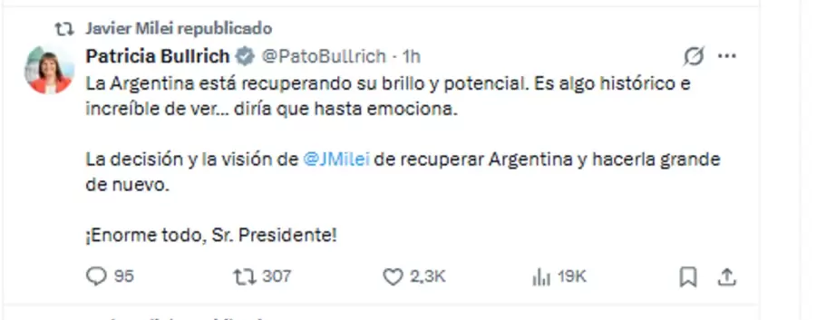 patricia bullrich