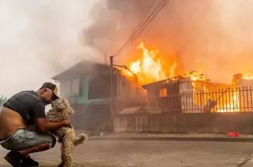 El 99% son intencionales: Chile va por la cadena perpetua para los responsables de los incendios
