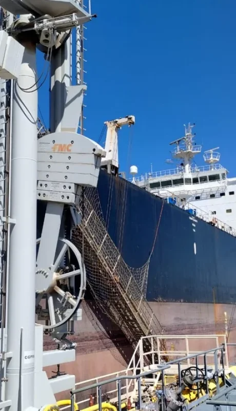 Mayor volumen de exportaciones