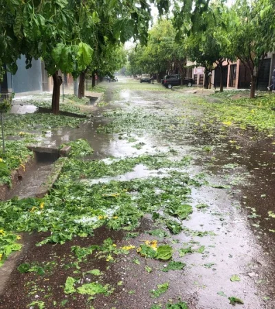 Tras el paso de la piedra y la lluvia, Defensa Civil y cuadrillas municipales trabajan para despejar las zonas más castigadas por el temporal.