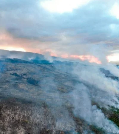 Paisaje desolador en el Parque Nacional Los Alerces: las llamas ya consumieron más de 10.000 hectáreas de bosque nativo en Chubut.