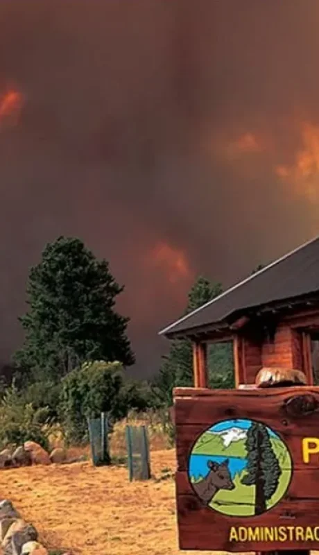 Paisaje desolador en el Parque Nacional Los Alerces: las llamas ya consumieron más de 10.000 hectáreas de bosque nativo en Chubut.