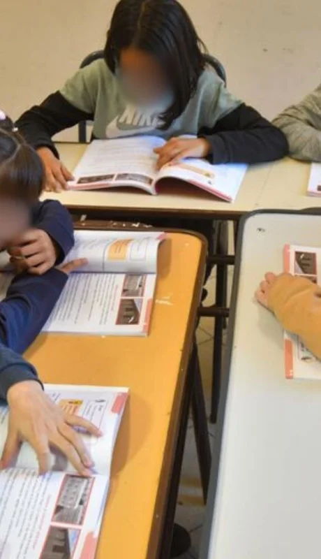 Plan de Alfabetización: con los nuevos manuales, se busca que cada estudiante alcance una fluidez lectora sólida al finalizar el primer ciclo.