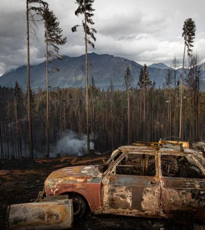 40.000 hectáreas en 50 días. Los números de la tragedia.