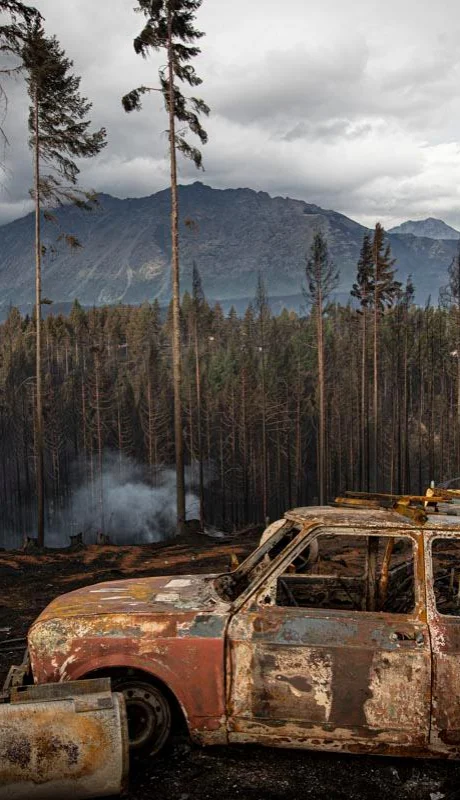 40.000 hectáreas en 50 días. Los números de la tragedia.