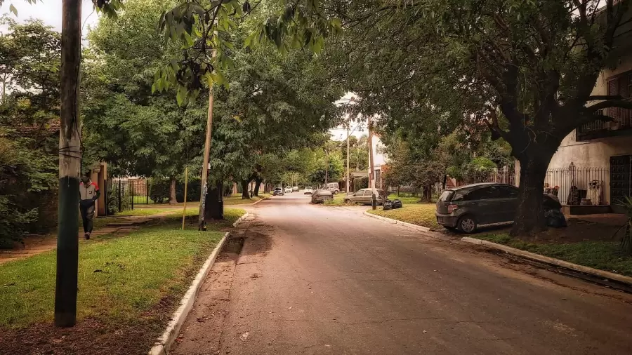 Quietud y arbolado. Parte del paisaje de Ciudad Evita.